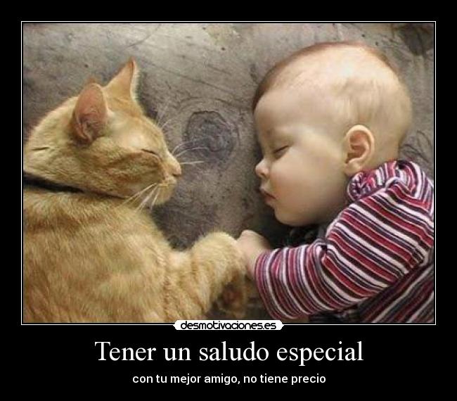 carteles amigo gatosbebe desmotivaciones