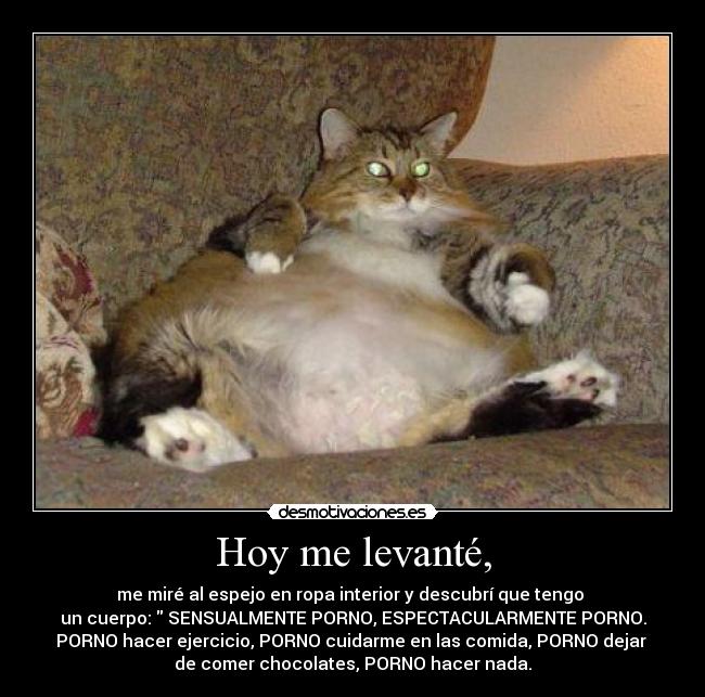 Hoy me levanté, - me miré al espejo en ropa interior y descubrí que tengo
un cuerpo: SENSUALMENTE PORNO, ESPECTACULARMENTE PORNO.
PORNO hacer ejercicio, PORNO cuidarme en las comida, PORNO dejar
de comer chocolates, PORNO hacer nada.