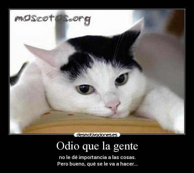 Odio que la gente - 