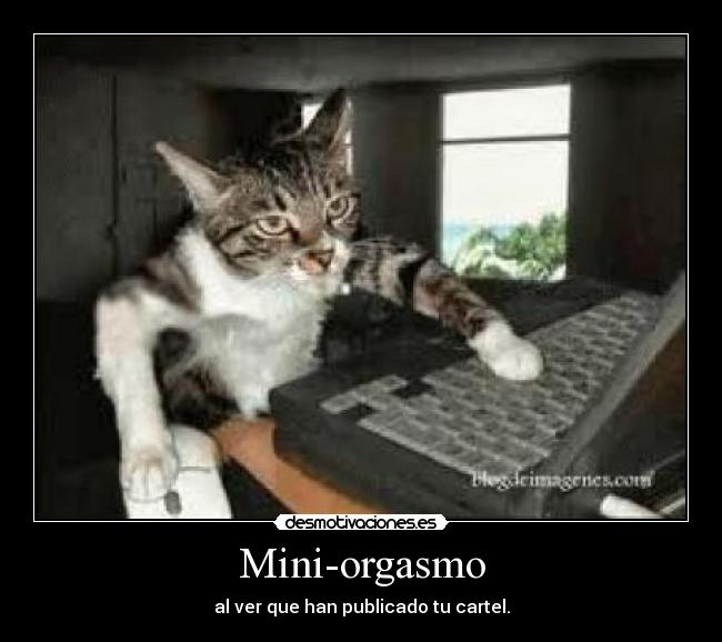 carteles miniorgasmo desmotivaciones