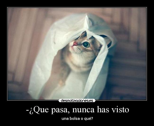 -¿Que pasa, nunca has visto -