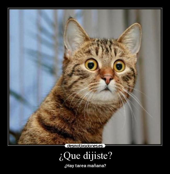 ¿Que dijiste? - ¿Hay tarea mañana?