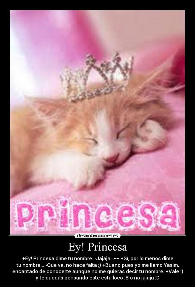 Ey! Princesa - +Ey! Princesa dime tu nombre. -Jajaja...¬¬ +Sí, por lo menos dime
tu nombre... -Que va, no hace falta ;) +Bueno pues yo me llamo Yasim,
encantado de conocerte aunque no me quieras decir tu nombre. +Vale :)
y te quedas pensando este esta loco :S o no jajaja :D