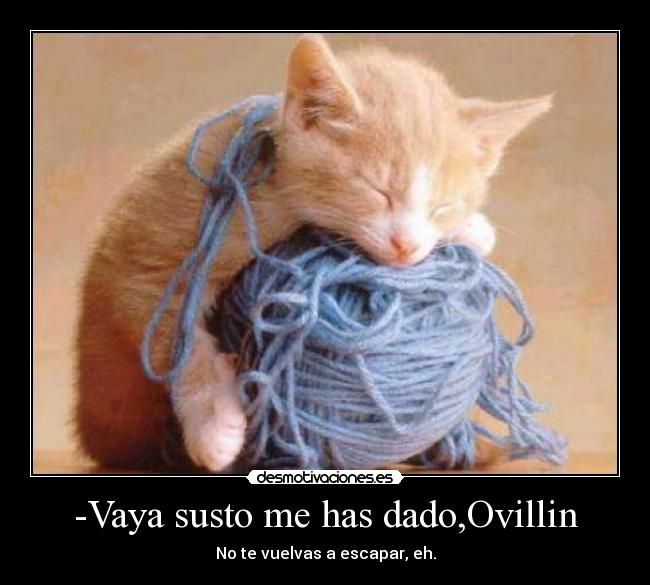-Vaya susto me has dado,Ovillin - No te vuelvas a escapar, eh.