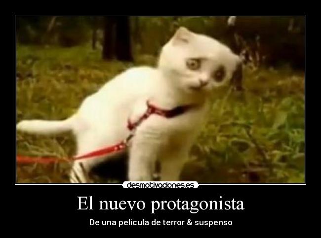 El nuevo protagonista - 