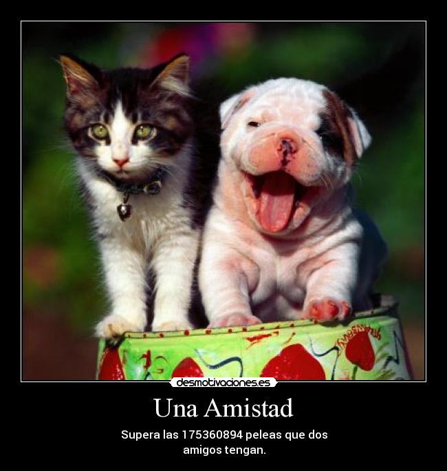 Una Amistad - 