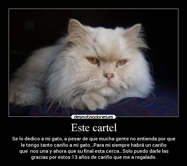 Este cartel - Se lo dedico a mi gato, a pesar de que mucha gente no entienda por que
le tengo tanto cariño a mi gato...Para mi siempre habrá un cariño
que  nos una y ahora que su final esta cerca...Solo puedo darle las
gracias por estos 13 años de cariño que me a regalado.