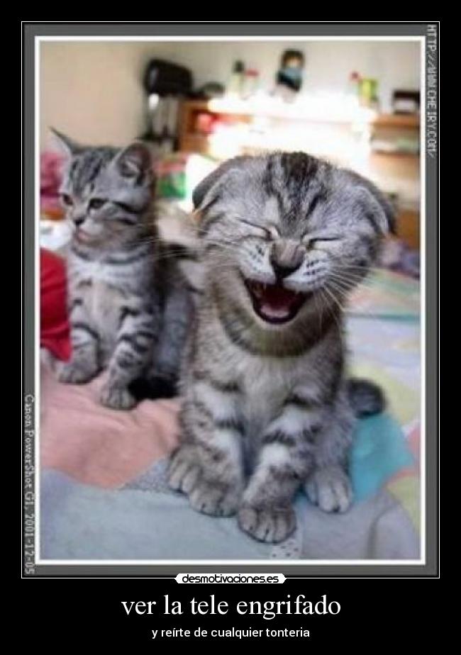 ver la tele engrifado - y reírte de cualquier tonteria
