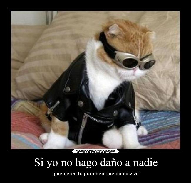 Si yo no hago daño a nadie - quién eres tú para decirme cómo vivir