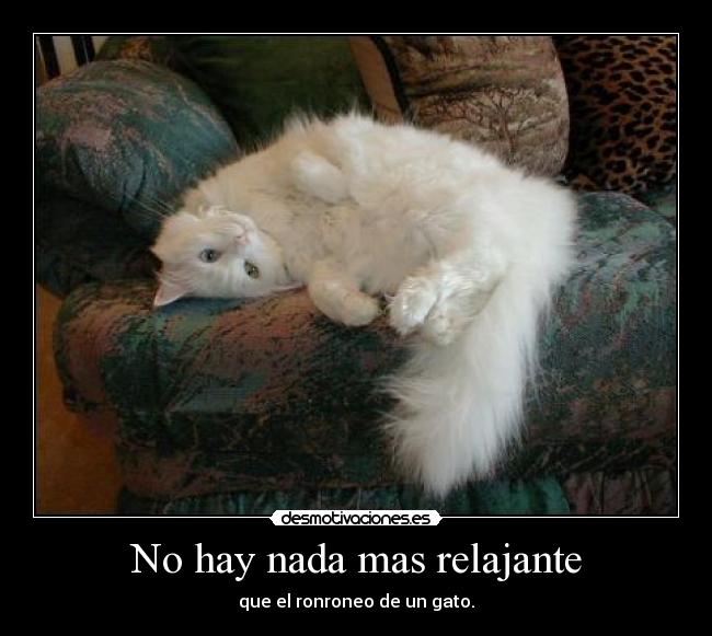 No hay nada mas relajante - 