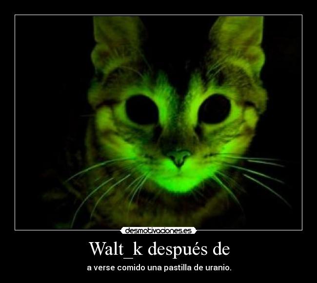 Walt_k después de - a verse comido una pastilla de uranio.