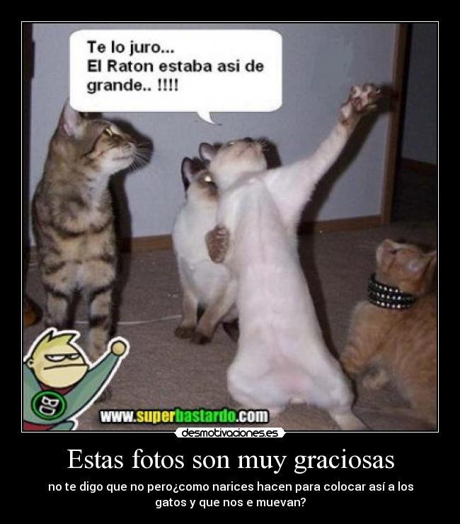 Los Guantes Negros Las Cabezas Bambolear La Tengo Que Encontrar Los Guantes Negros Las Cabezas Bambolear La Tengo Que Encontrar