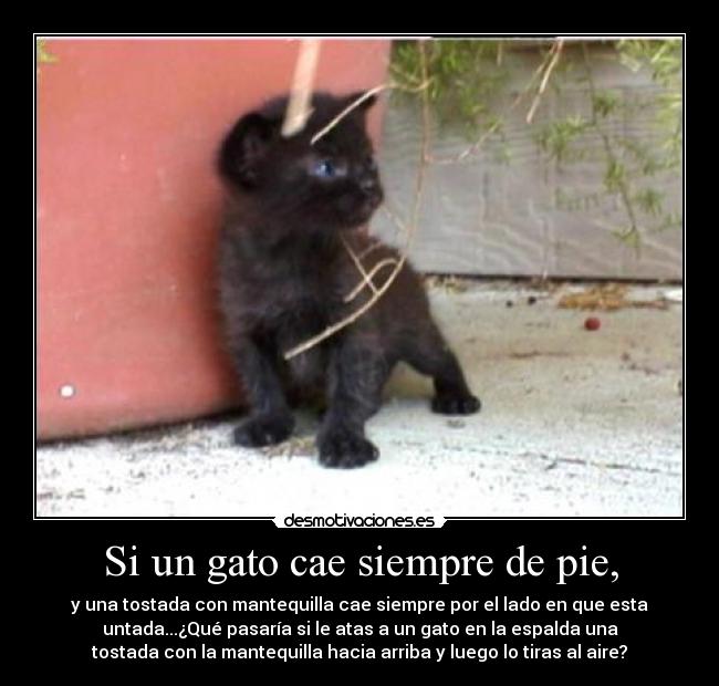 Si un gato cae siempre de pie, - y una tostada con mantequilla cae siempre por el lado en que esta
untada...¿Qué pasaría si le atas a un gato en la espalda una
tostada con la mantequilla hacia arriba y luego lo tiras al aire?