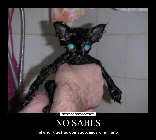 NO SABES - 