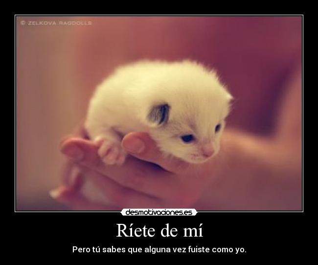 Ríete de mí - Pero tú sabes que alguna vez fuiste como yo.