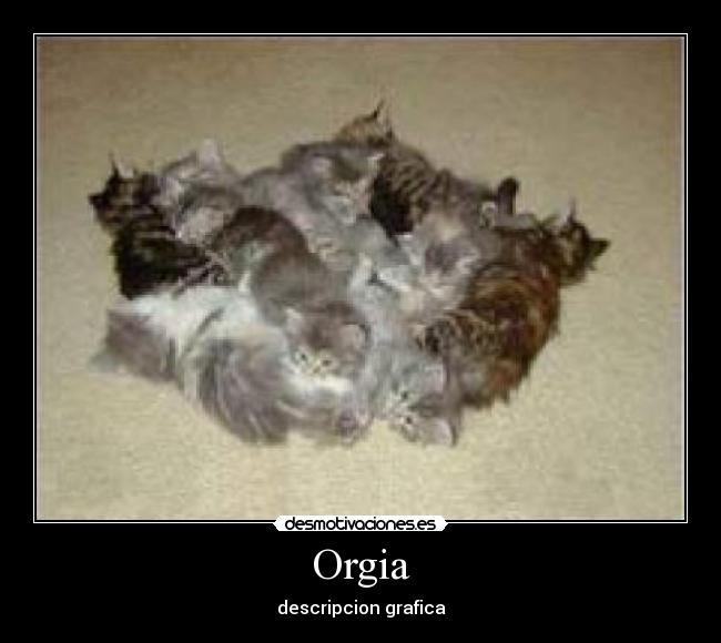 Orgia -
