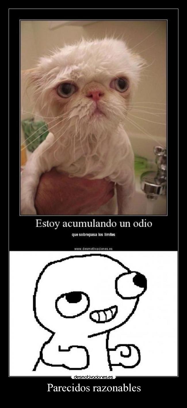 Parecidos razonables - 