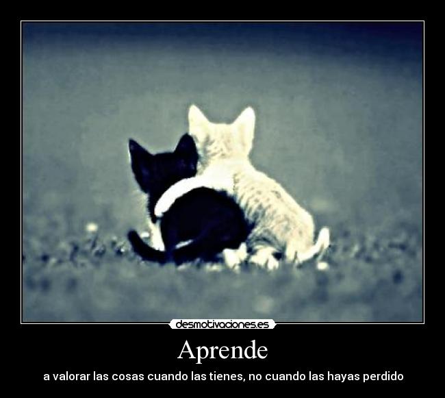 Aprende - 