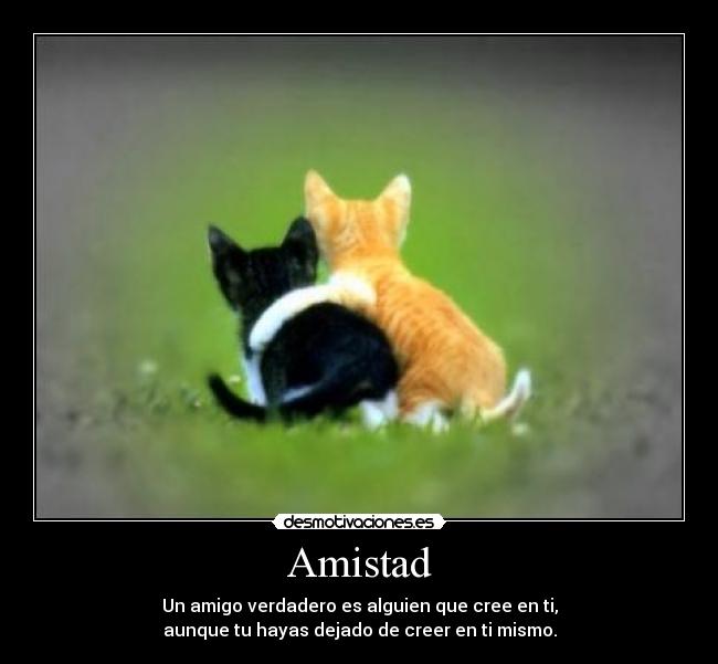 Amistad - Un amigo verdadero es alguien que cree en ti,
aunque tu hayas dejado de creer en ti mismo.