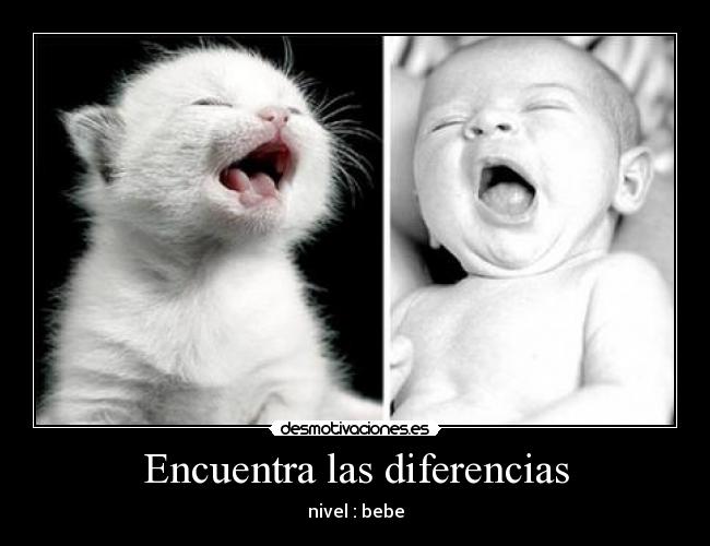 Encuentra las diferencias - 