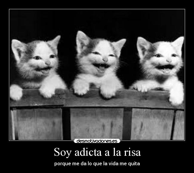 carteles risa mejor elixir risa desmotivaciones