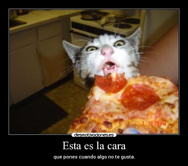 Esta es la cara - que pones cuando algo no te gusta.