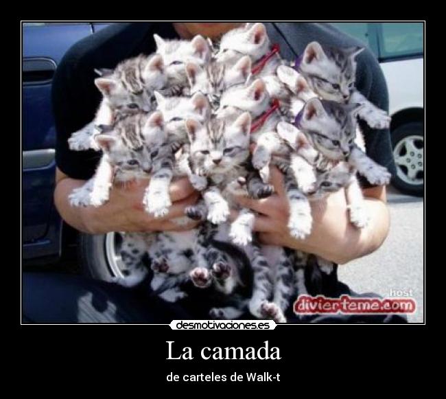 La camada - de carteles de Walk-t