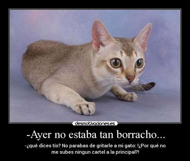 -Ayer no estaba tan borracho... - 