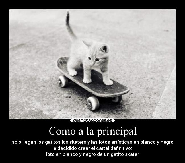 Como a la principal - solo llegan los gatitos,los skaters y las fotos artísticas en blanco y negro
e decidido crear el cartel definitivo:
foto en blanco y negro de un gatito skater