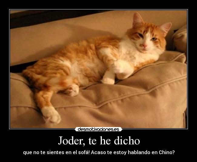 carteles sofa desmotivaciones