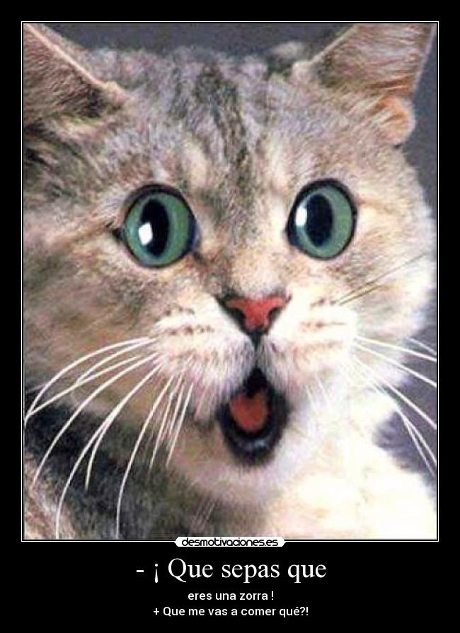 - ¡ Que sepas que -