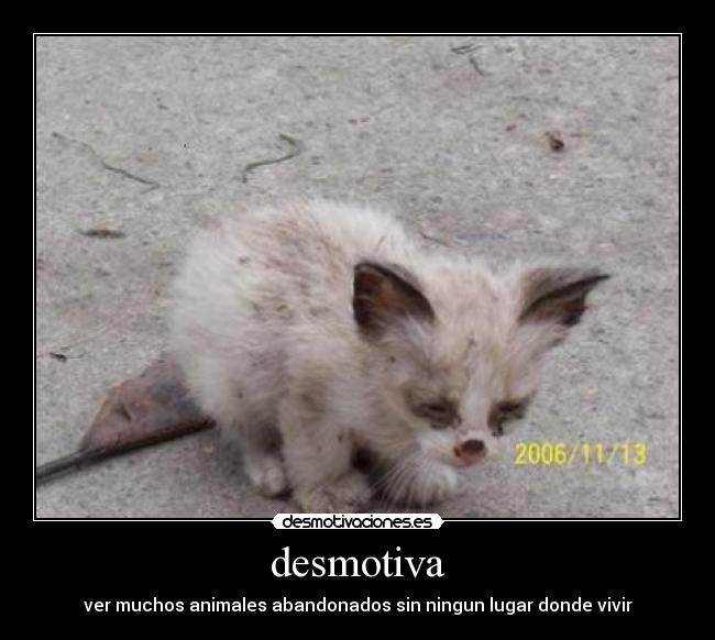 desmotiva - 