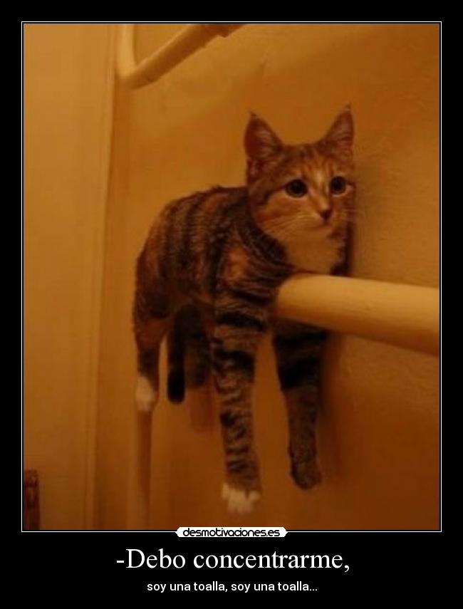 -Debo concentrarme, - 