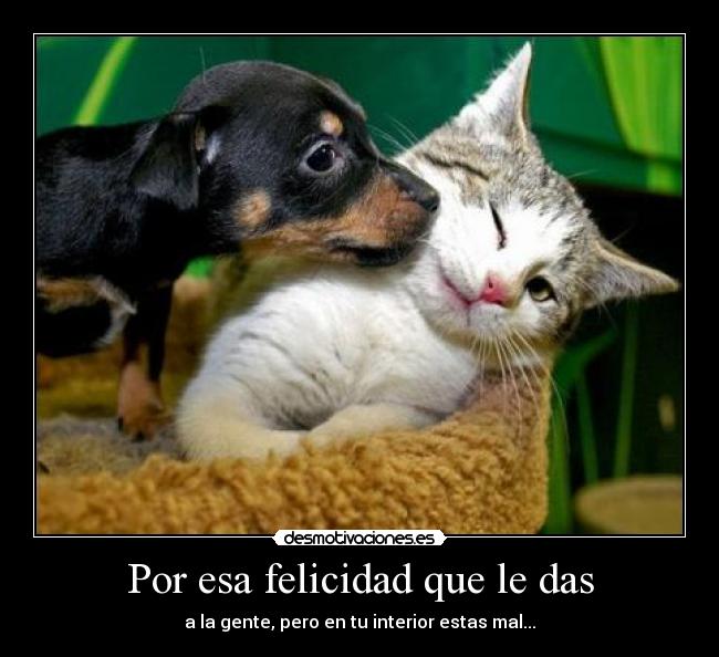 Por esa felicidad que le das - a la gente, pero en tu interior estas mal...