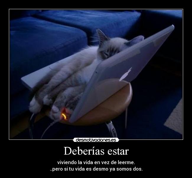 Deberías estar - viviendo la vida en vez de leerme.
..pero si tu vida es desmo ya somos dos.