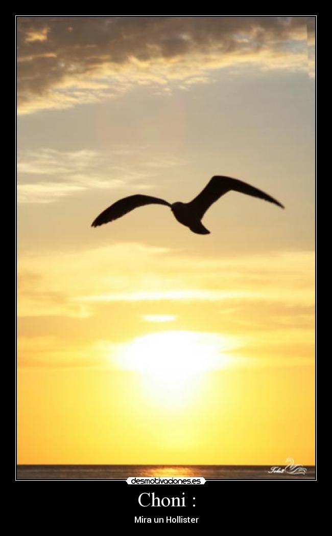 Choni : - Mira un Hollister