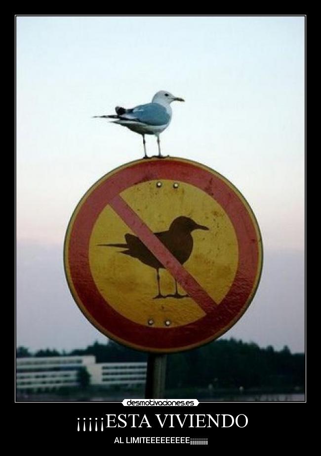 ¡¡¡¡¡ESTA VIVIENDO -