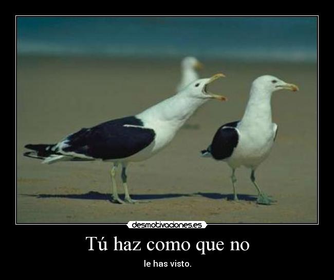 Tú haz como que no - le has visto.