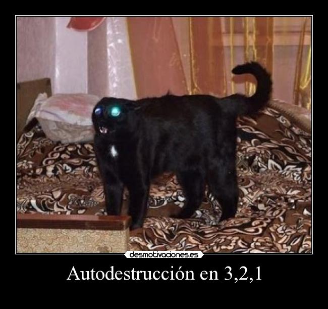 carteles autodestruccion desmotivaciones