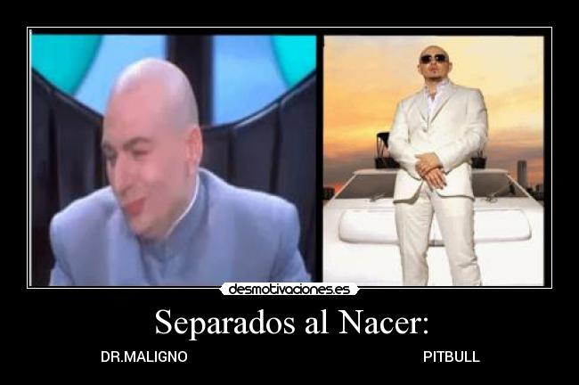 Separados al Nacer: - DR.MALIGNO PITBULL