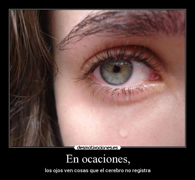 carteles lalocuna rastro intruders ocaciones javi espero que pilles cola porque dedico desmotivaciones