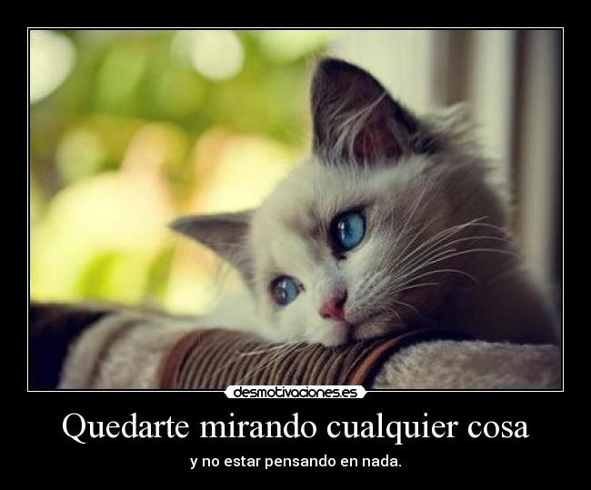 carteles follate las mentes desmotivaciones