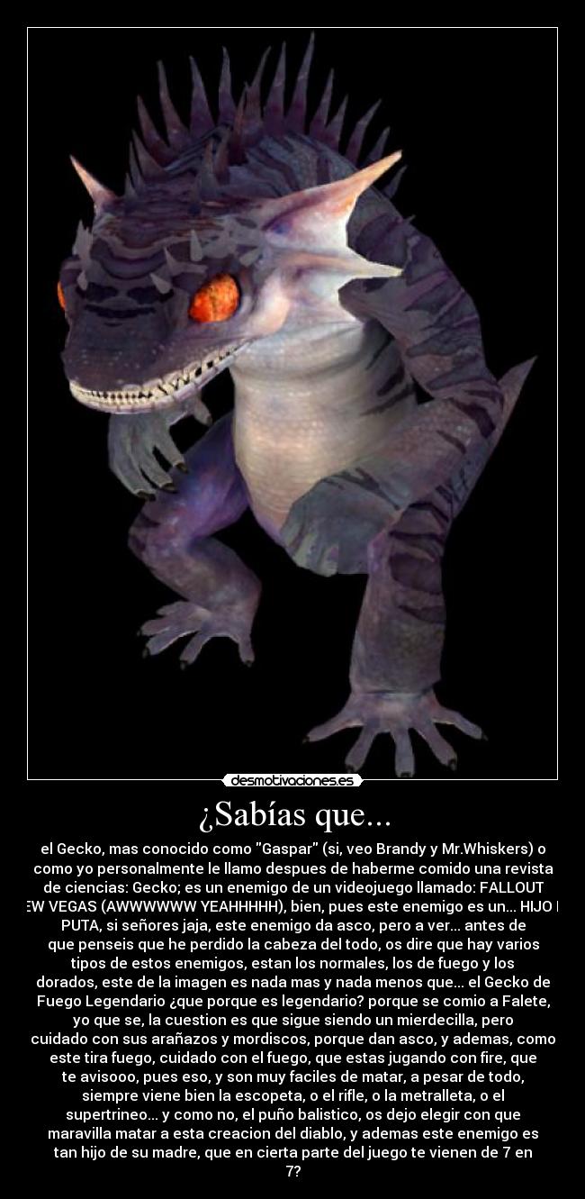 ¿Sabías que... - el Gecko, mas conocido como Gaspar (si, veo Brandy y Mr.Whiskers) o
como yo personalmente le llamo despues de haberme comido una revista
de ciencias: Gecko; es un enemigo de un videojuego llamado: FALLOUT
NEW VEGAS (AWWWWWW YEAHHHHH), bien, pues este enemigo es un... HIJO De
PUTA, si señores jaja, este enemigo da asco, pero a ver... antes de
que penseis que he perdido la cabeza del todo, os dire que hay varios
tipos de estos enemigos, estan los normales, los de fuego y los
dorados, este de la imagen es nada mas y nada menos que... el Gecko de
Fuego Legendario ¿que porque es legendario? porque se comio a Falete,
yo que se, la cuestion es que sigue siendo un mierdecilla, pero
cuidado con sus arañazos y mordiscos, porque dan asco, y ademas, como
este tira fuego, cuidado con el fuego, que estas jugando con fire, que
te avisooo, pues eso, y son muy faciles de matar, a pesar de todo,
siempre viene bien la escopeta, o el rifle, o la metralleta, o el
supertrineo... y como no, el puño balistico, os dejo elegir con que
maravilla matar a esta creacion del diablo, y ademas este enemigo es
tan hijo de su madre, que en cierta parte del juego te vienen de 7 en
7?