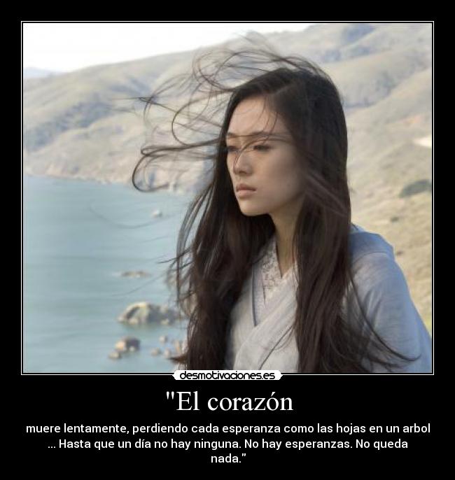 El corazón -