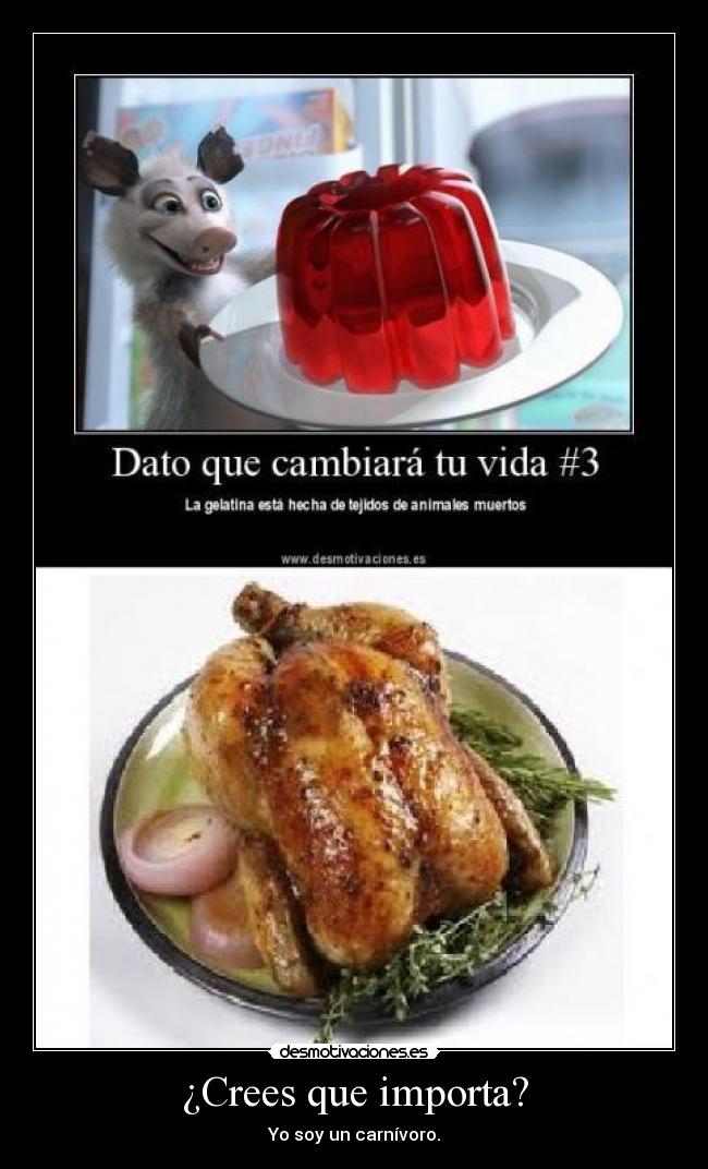 carteles soy carnivoro igual gelatina desmotivaciones
