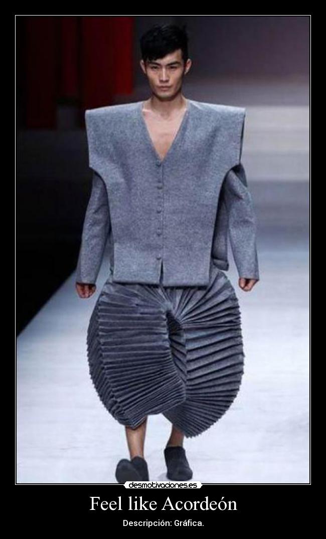 Feel like Acordeón - 
