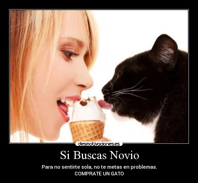 Si Buscas Novio - Para no sentirte sola, no te metas en problemas.
COMPRATE UN GATO