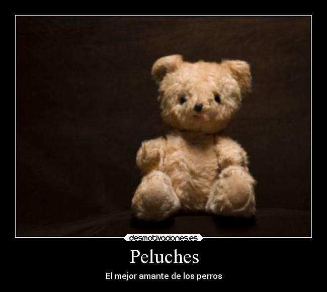 Peluches - El mejor amante de los perros