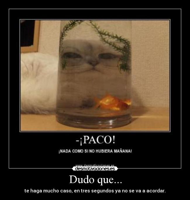 Dudo que... - te haga mucho caso, en tres segundos ya no se va a acordar.