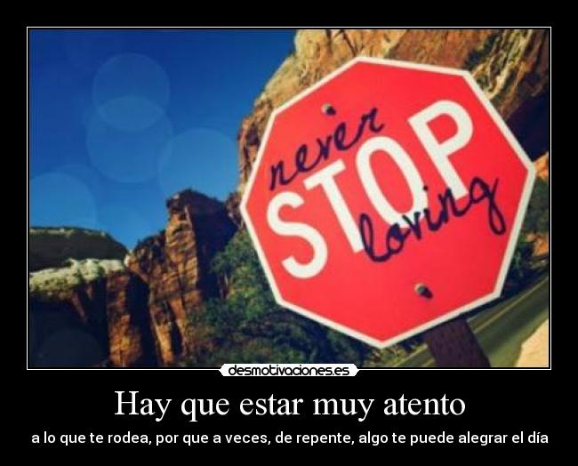 Hay que estar muy atento - a lo que te rodea, por que a veces, de repente, algo te puede alegrar el día